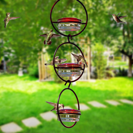 Outdoors Hanging Type Hummingbird Bird Waterer Black Metal for Birds Drinking Fountain with a Hook Bird Supplies Clean Water