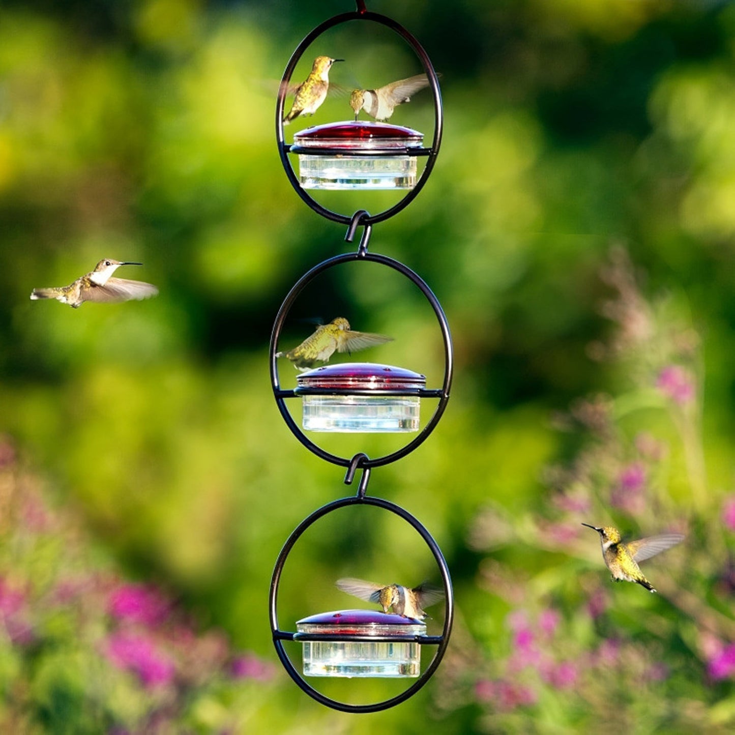 Outdoors Hanging Type Hummingbird Bird Waterer Black Metal for Birds Drinking Fountain with a Hook Bird Supplies Clean Water