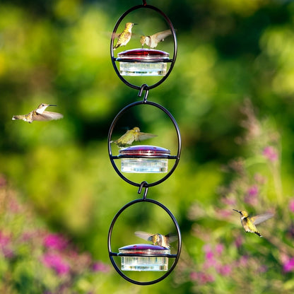 Outdoors Hanging Type Hummingbird Bird Waterer Black Metal for Birds Drinking Fountain with a Hook Bird Supplies Clean Water