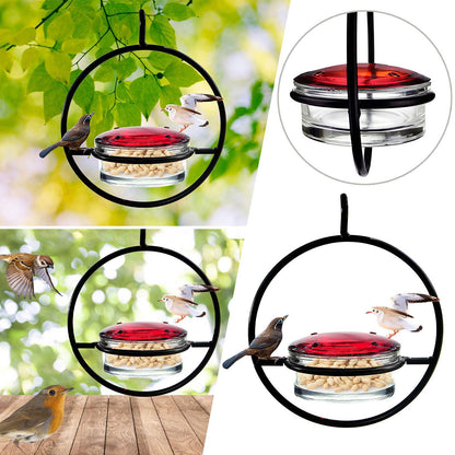 Outdoors Hanging Type Hummingbird Bird Waterer Black Metal for Birds Drinking Fountain with a Hook Bird Supplies Clean Water