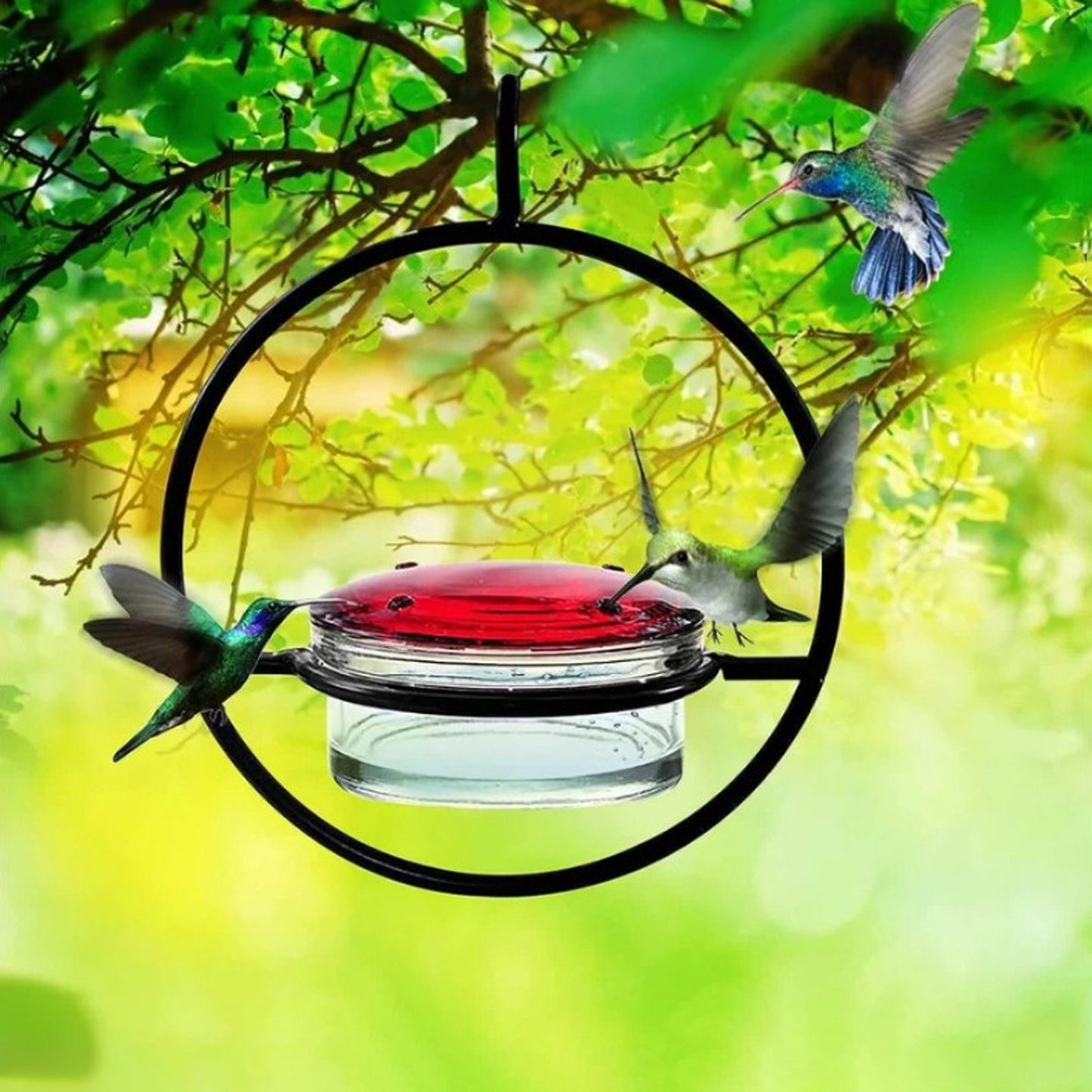 Outdoors Hanging Type Hummingbird Bird Waterer Black Metal for Birds Drinking Fountain with a Hook Bird Supplies Clean Water