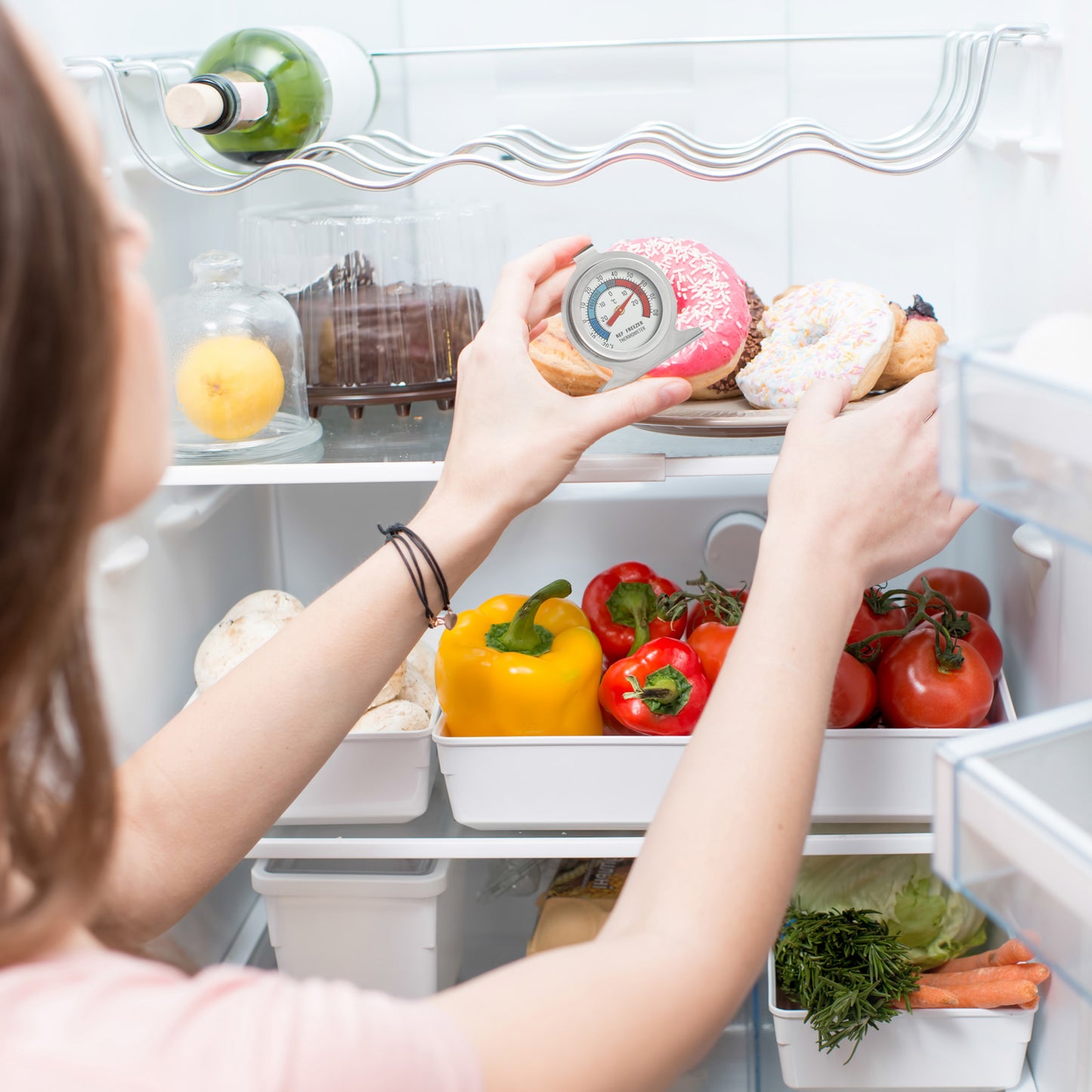 Refrigerator Thermometer, -30~30°C/-20~80°F, Classic Fridge Analog Thermometer Large Dial with Red Indicator Thermometer for Freezer Refrigerator Cooler