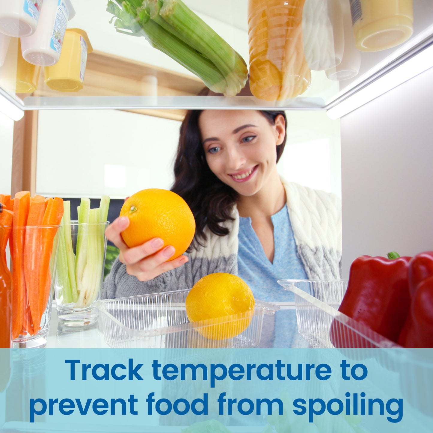 Refrigerator Thermometer, -30~30°C/-20~80°F, Classic Fridge Analog Thermometer Large Dial with Red Indicator Thermometer for Freezer Refrigerator Cooler