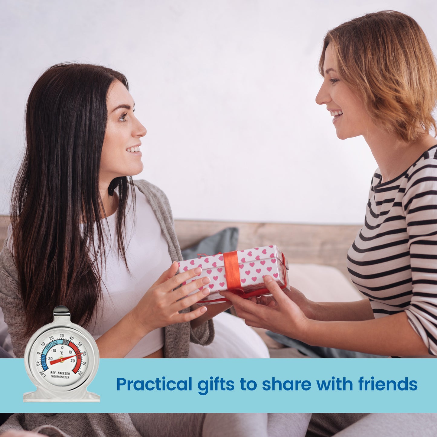 Refrigerator Thermometer, -30~30°C/-20~80°F, Classic Fridge Analog Thermometer Large Dial with Red Indicator Thermometer for Freezer Refrigerator Cooler